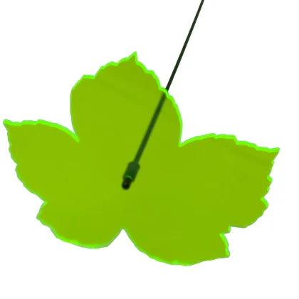 Sonnenfänger Ahornblatt in Grün