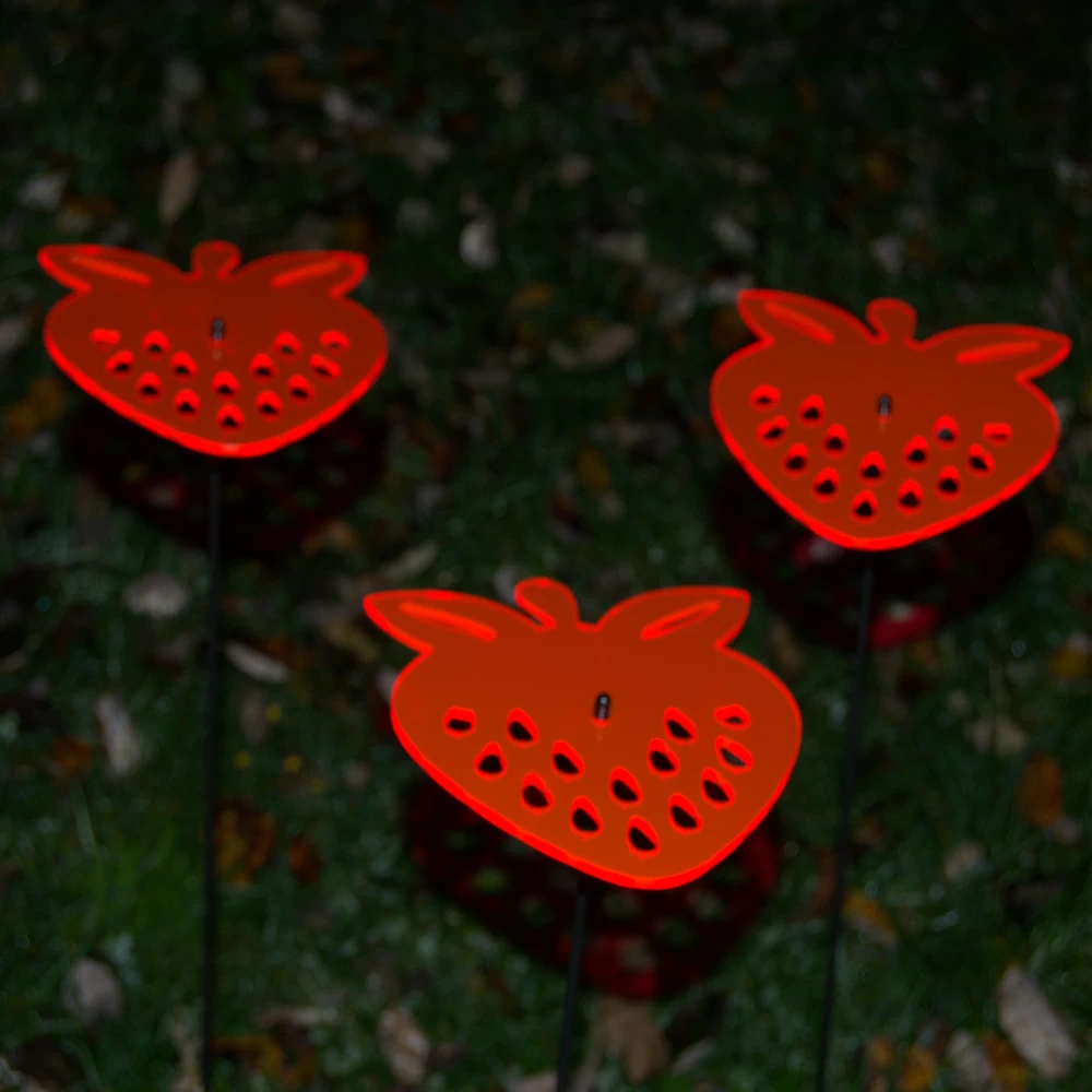 Sonnenfänger Erdbeeren Set Outdoor